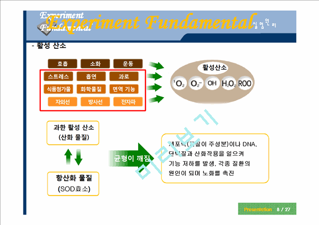 [화학공학실험] 라디칼 소거 활성 측정(DPPH).pptx